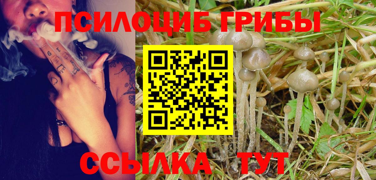 купить наркотик  Вход с VPN  Псилоцибиновые грибы Psilocybine cubensis  Дальнереченск  Галлюциногенные грибы Cubensis 